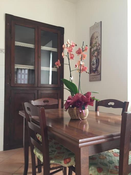 Appartement Narni.Umbria à Narni Scalo Extérieur photo